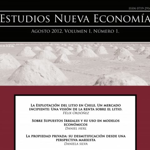 Estudios Nueva Economía I